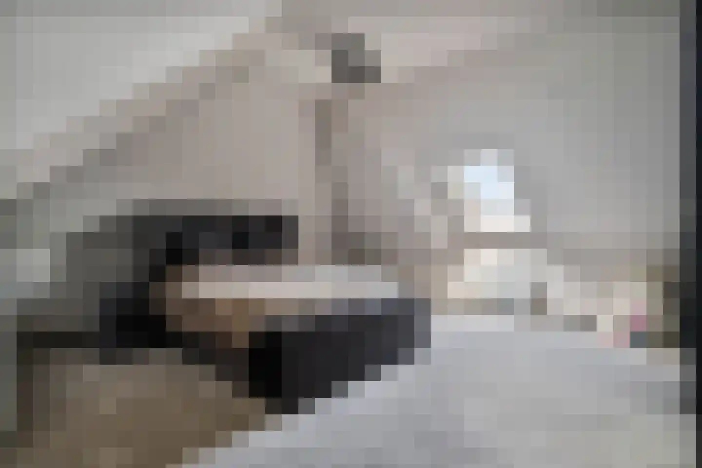 Industrieweg 4 't Harde thumbnail 45