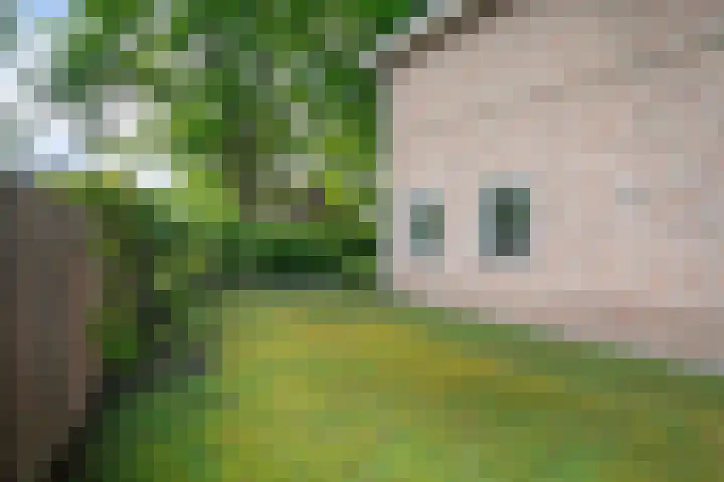 Industrieweg 4 't Harde thumbnail 50