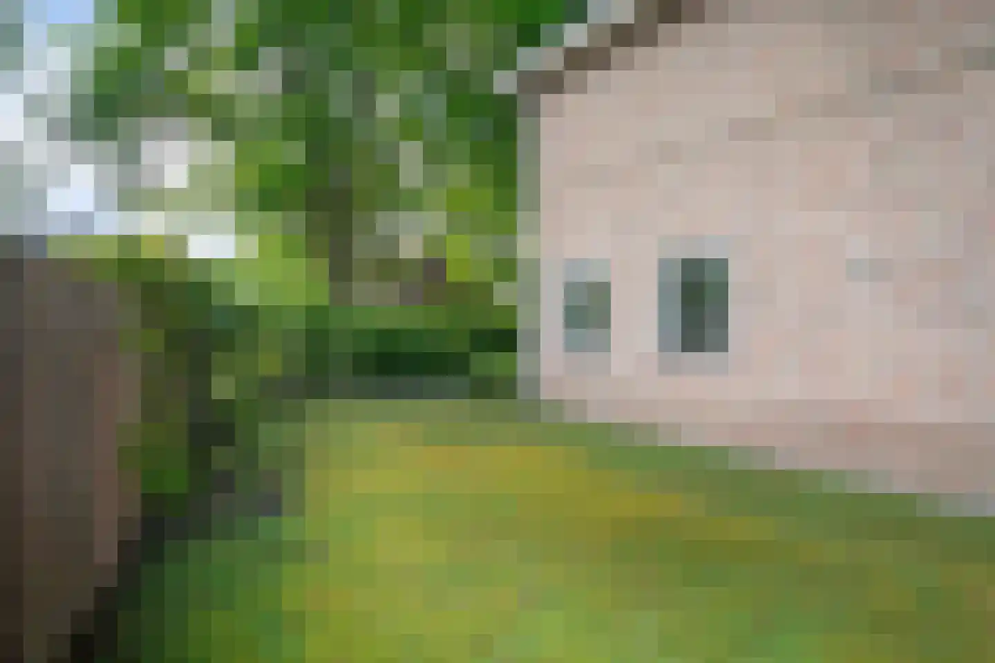 Industrieweg 4 't Harde thumbnail 59