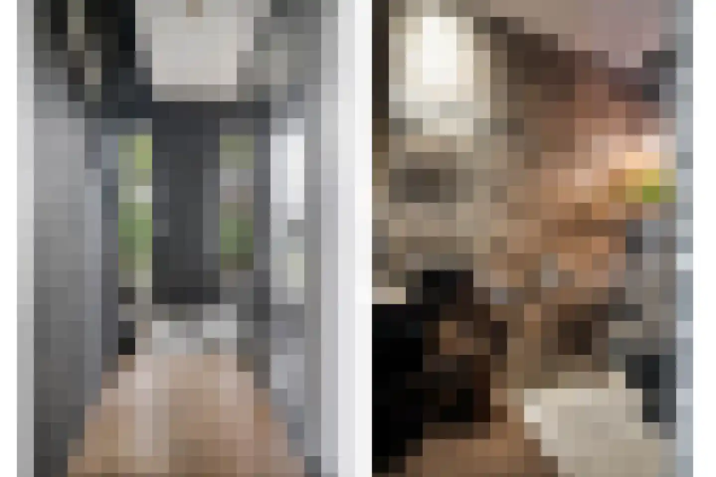 Industrieweg 4 't Harde thumbnail 6