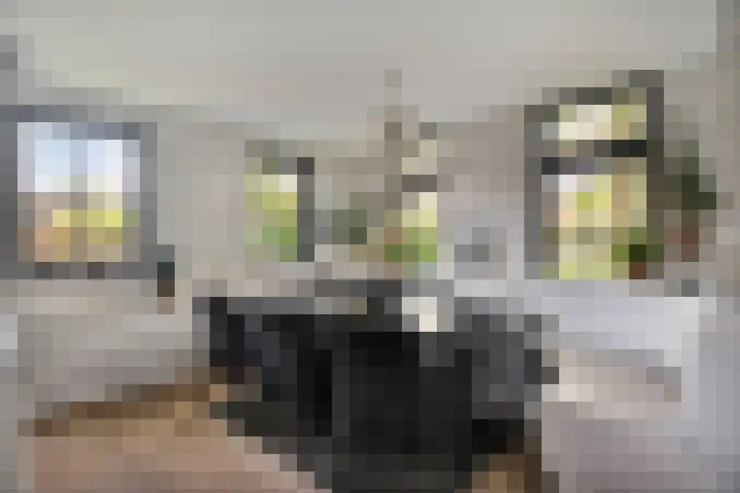 Industrieweg 4 't Harde thumbnail 8