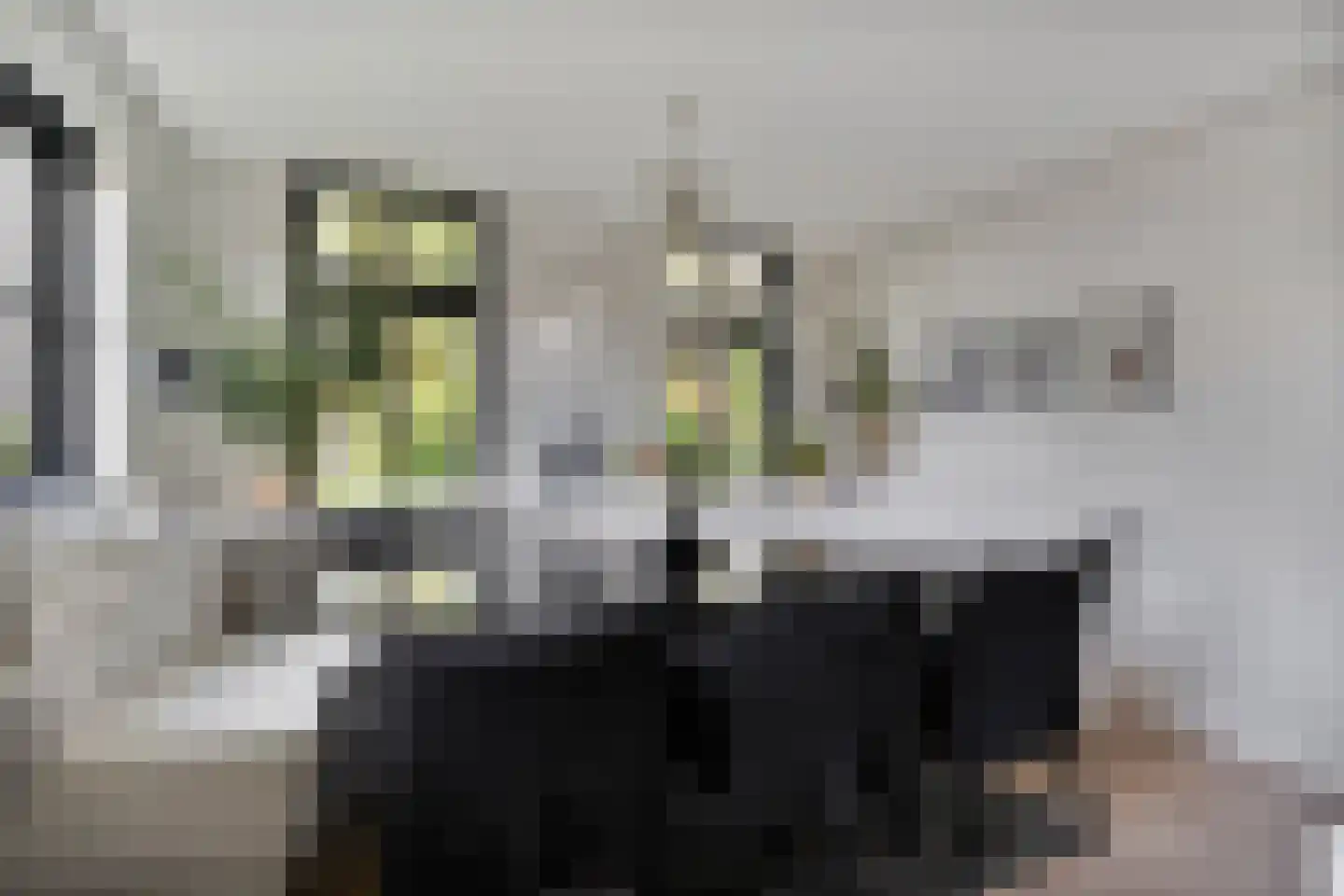 Industrieweg 4 't Harde thumbnail 9