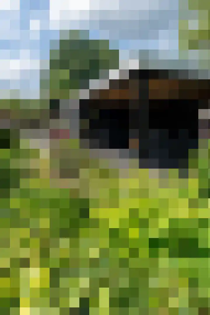 Industrieweg 43 Vaassen thumbnail 34