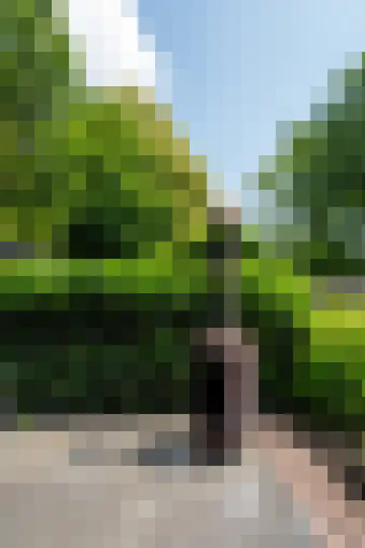 Industrieweg 43 Vaassen thumbnail 39