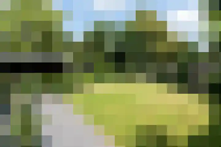 Industrieweg 43 Vaassen thumbnail 4