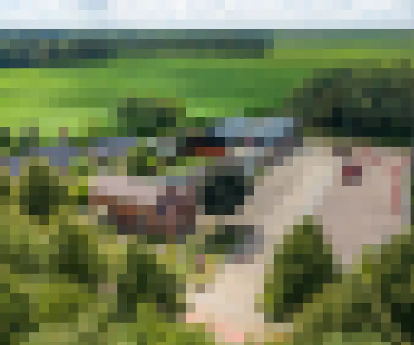 Industrieweg 44 Vriescheloo thumbnail 10