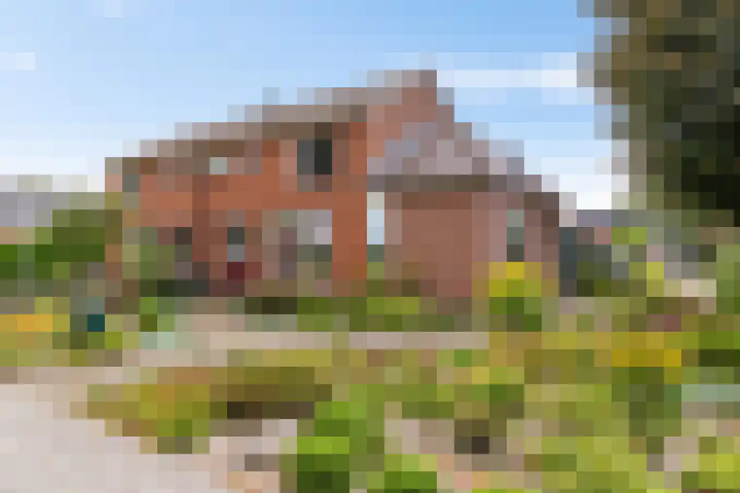 Industrieweg 44 Vriescheloo thumbnail 12