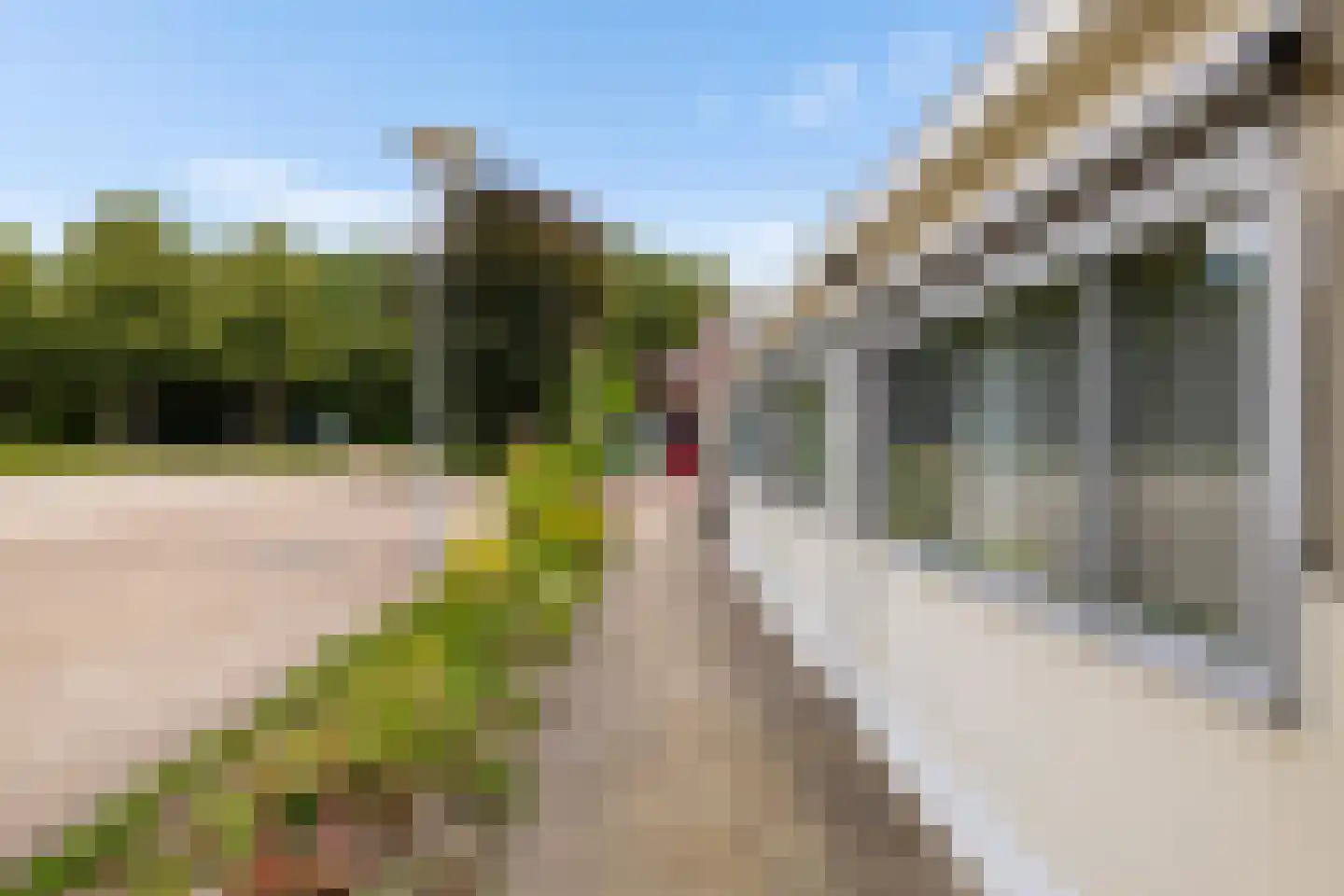 Industrieweg 44 Vriescheloo thumbnail 44