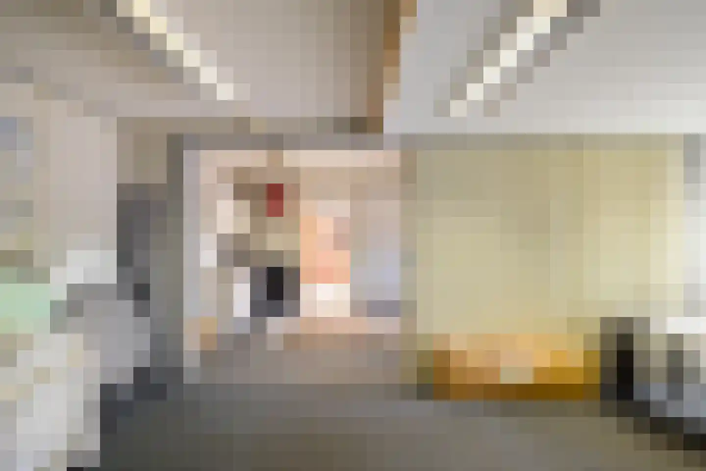 Industrieweg 44 Vriescheloo thumbnail 50