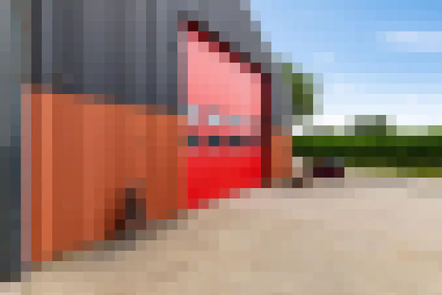 Industrieweg 44 Vriescheloo thumbnail 61