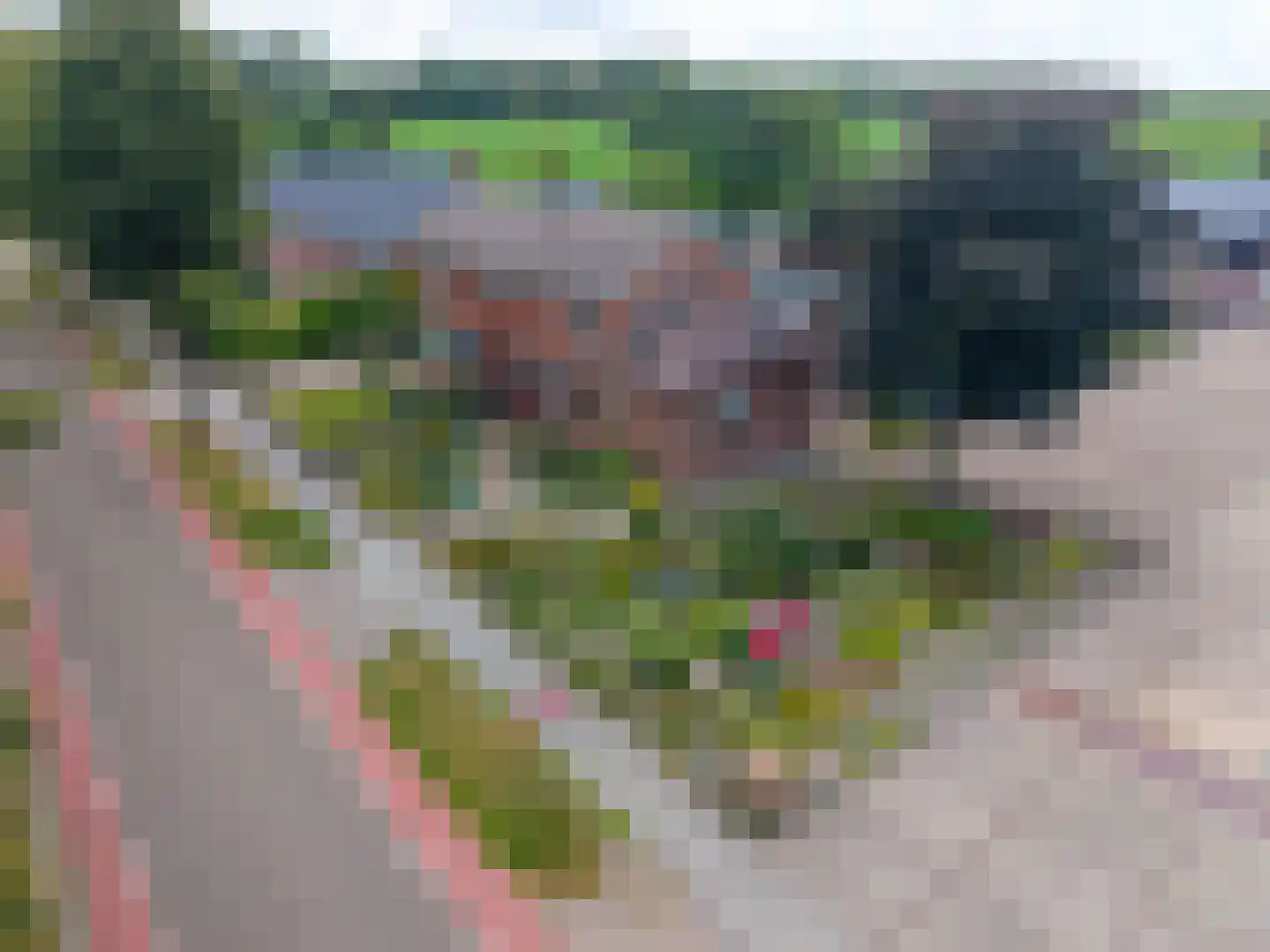 Industrieweg 44 Vriescheloo thumbnail 85