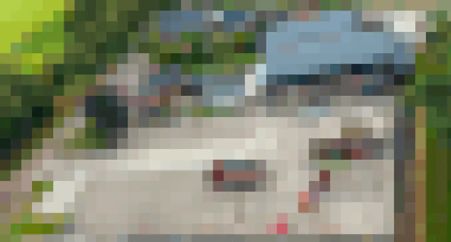 Industrieweg 44 Vriescheloo thumbnail 90