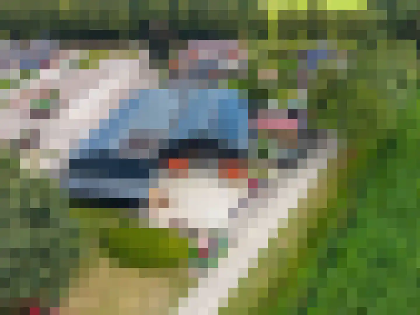 Industrieweg 44 Vriescheloo thumbnail 91