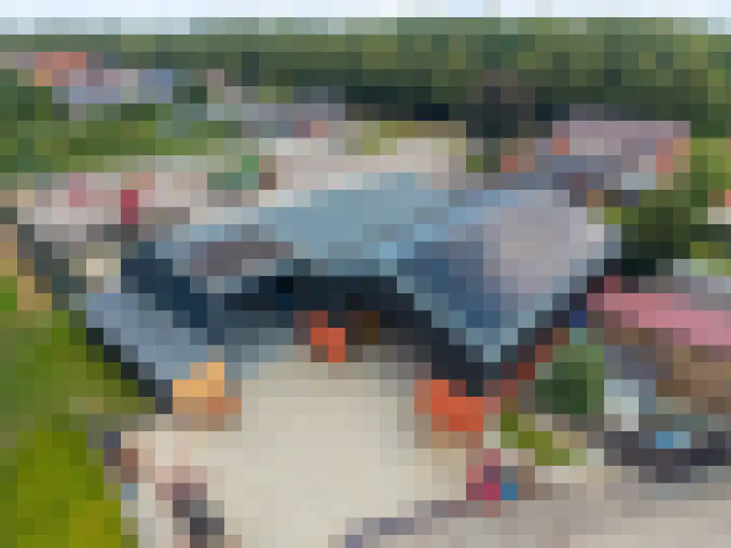 Industrieweg 44 Vriescheloo thumbnail 92