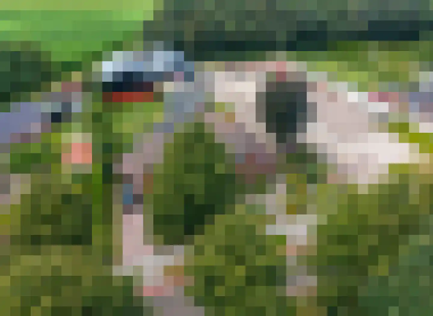 Industrieweg 44 Vriescheloo thumbnail 94