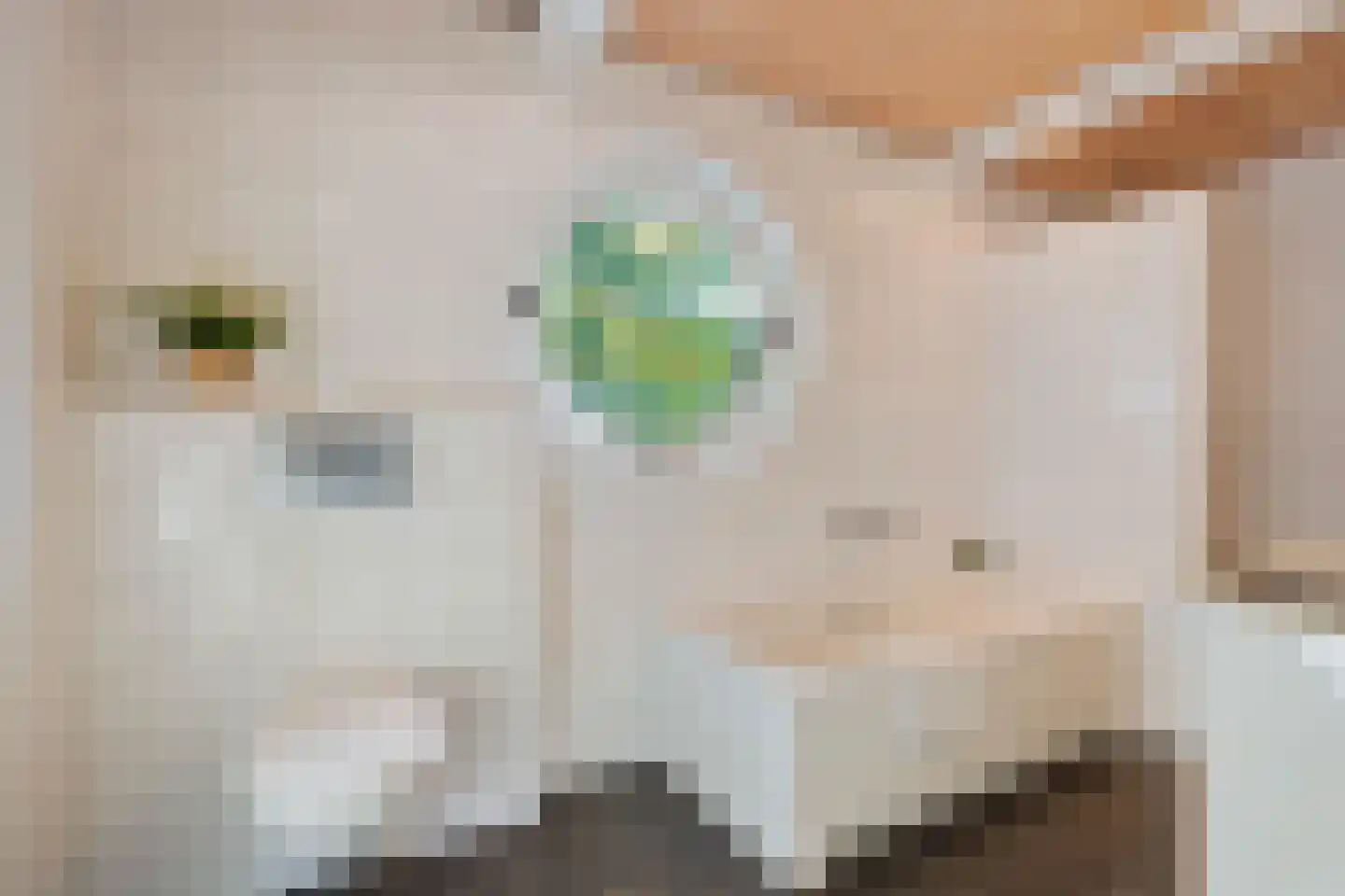 Industrieweg 5 Drunen thumbnail 31