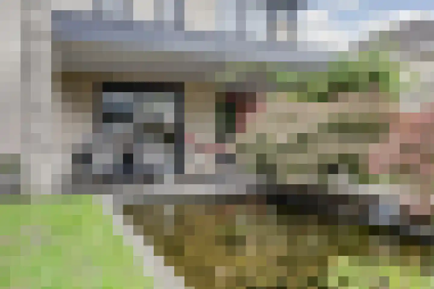 Industrieweg 5 Oost West en Middelbeers thumbnail 41