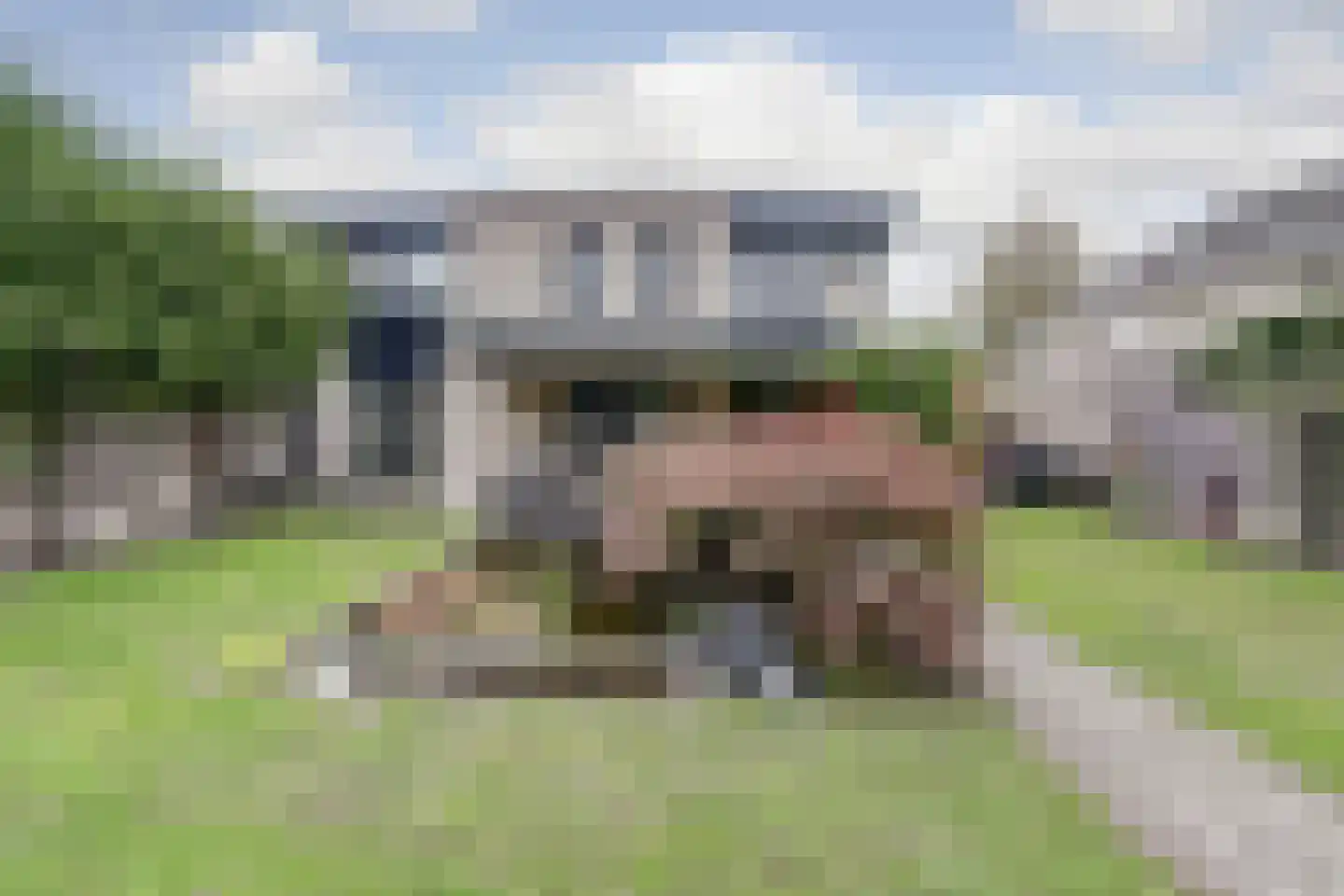 Industrieweg 5 Oost West en Middelbeers thumbnail 42