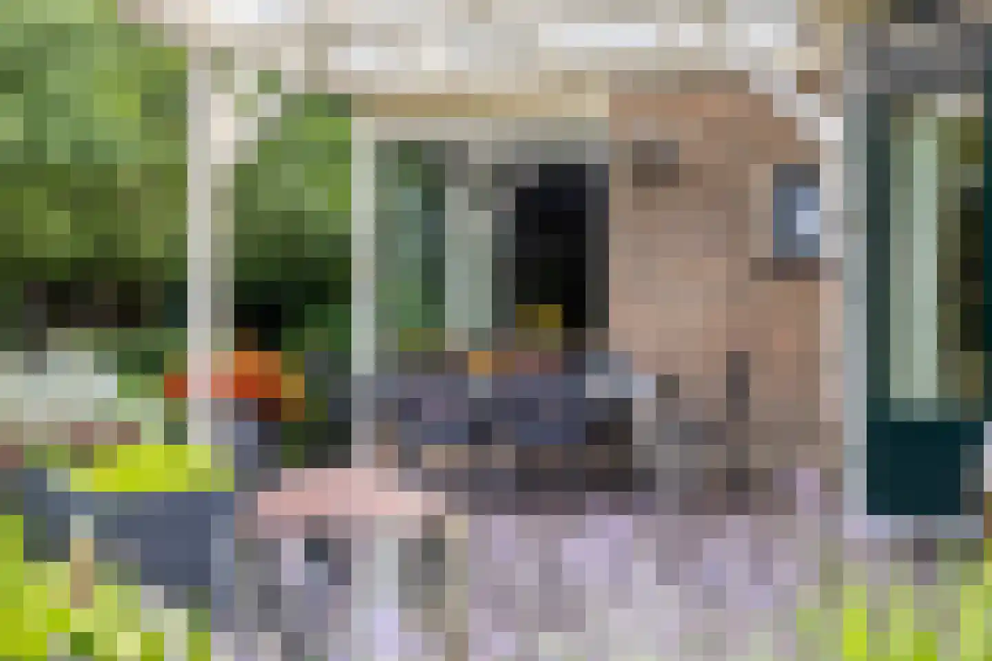 Industrieweg 6 Vorden thumbnail 13
