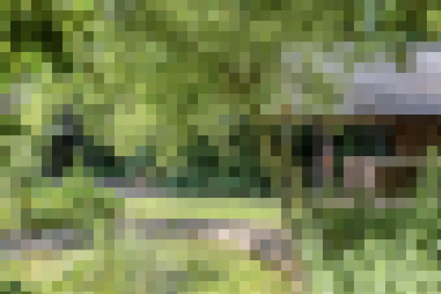 Industrieweg 6 Vorden thumbnail 42