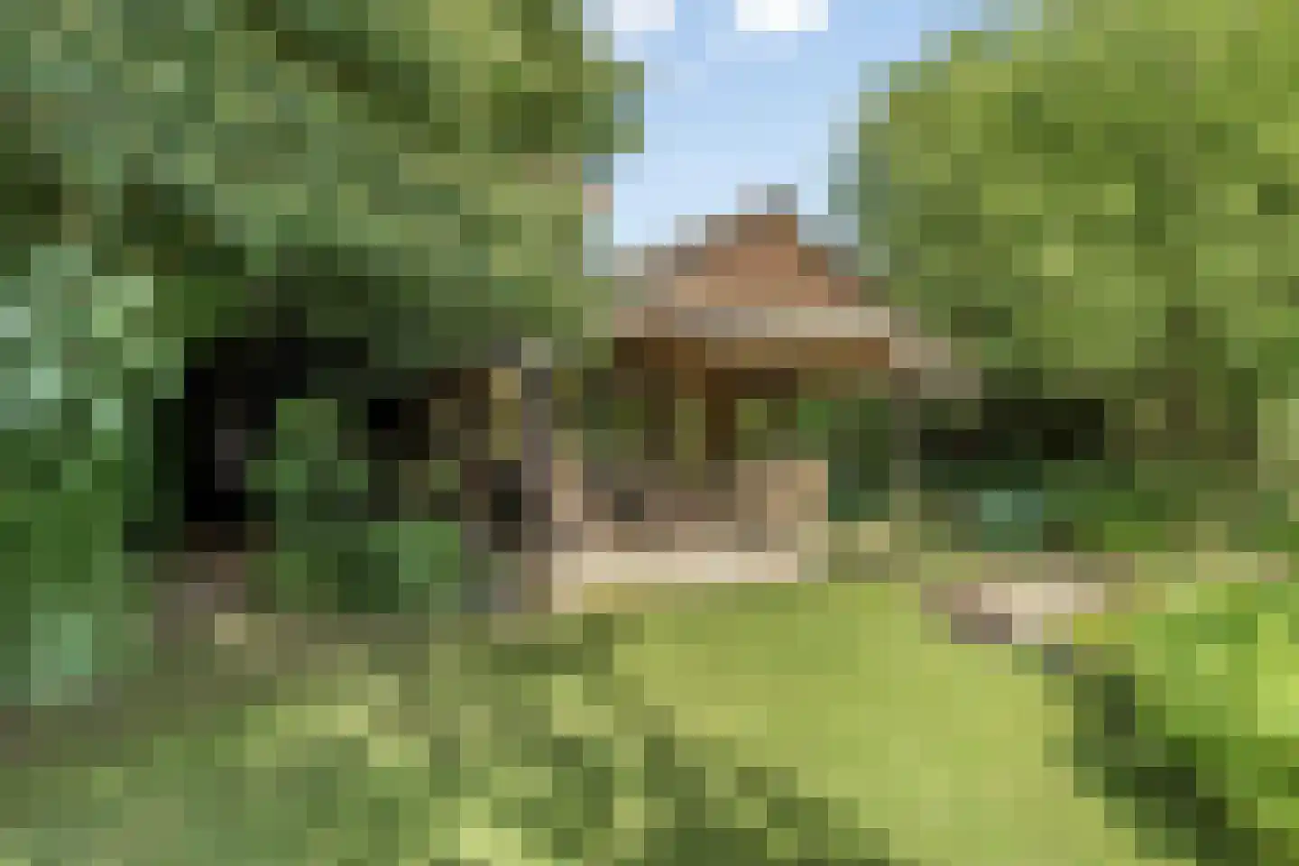Industrieweg 6 Vorden thumbnail 7