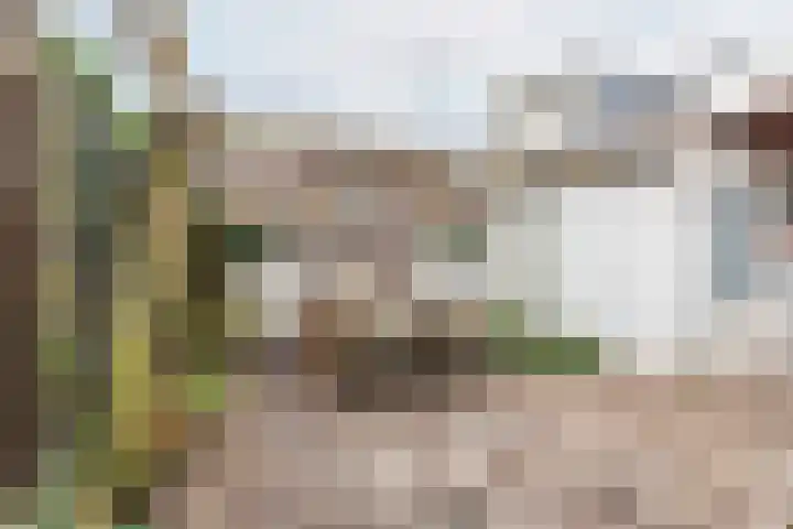 Industrieweg 64 Terborg thumbnail 32