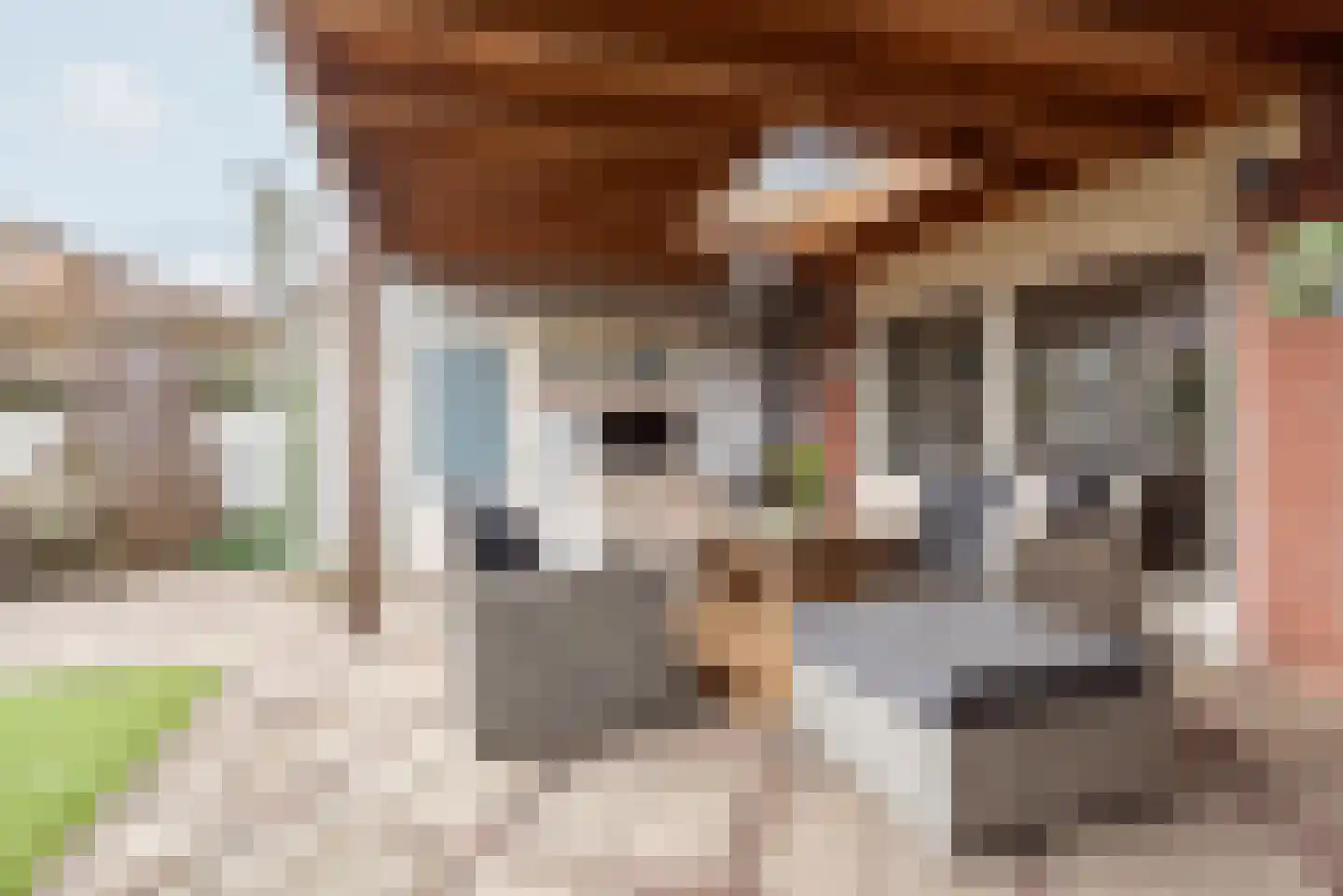 Industrieweg 64 Terborg thumbnail 33