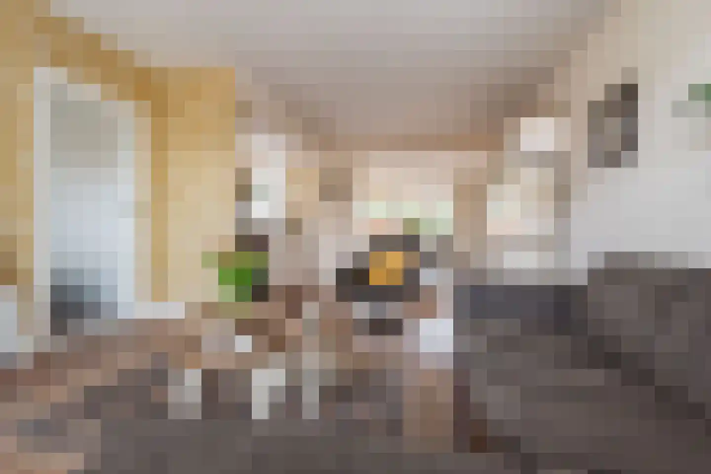 Industrieweg 64 Terborg thumbnail 7