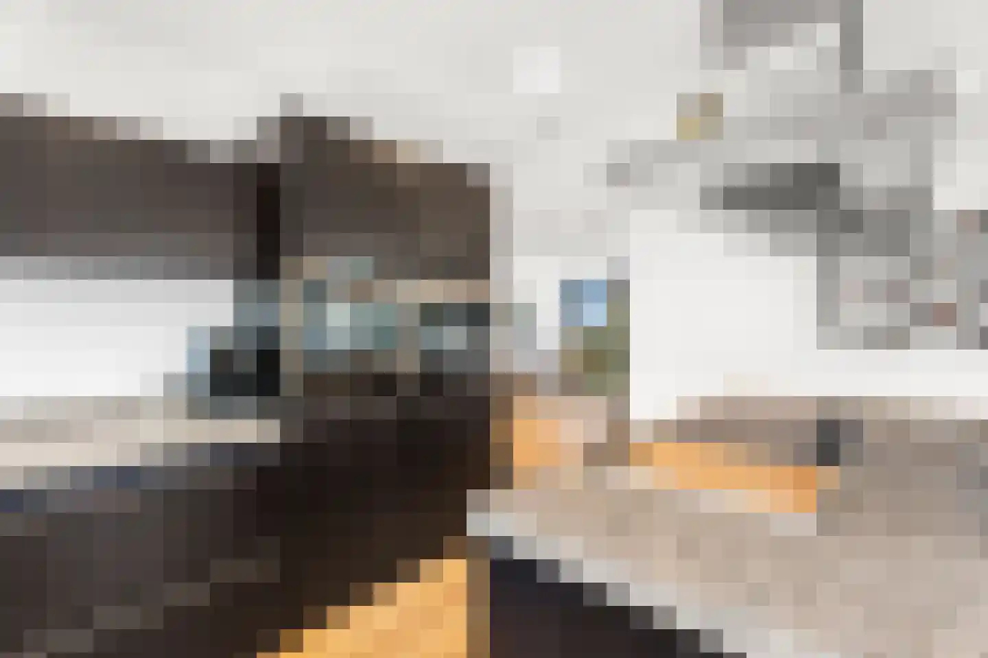 Industrieweg 7 Mierlo thumbnail 10