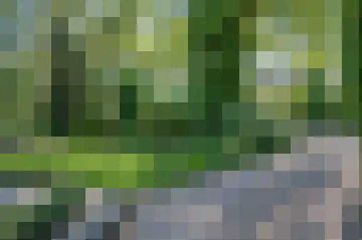 Industrieweg 7 Vorden thumbnail 31