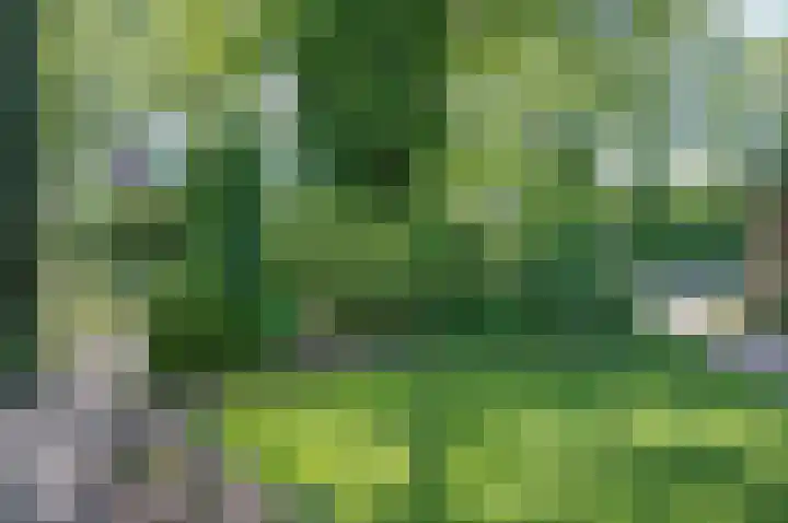 Industrieweg 7 Vorden thumbnail 5
