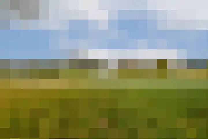 Ineke Sluiterstraat 33 Almere thumbnail 26