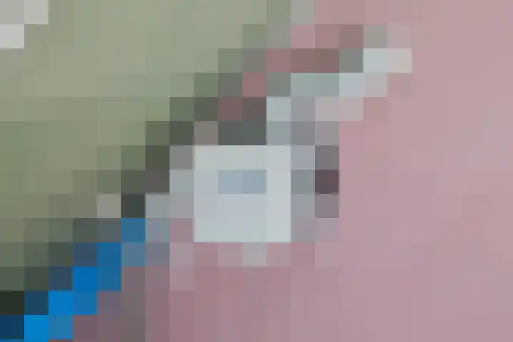 Ines Pultrumstrjitte 1 Houtigehage thumbnail 27