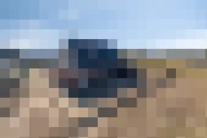 Ines Pultrumstrjitte 1 Houtigehage thumbnail 30