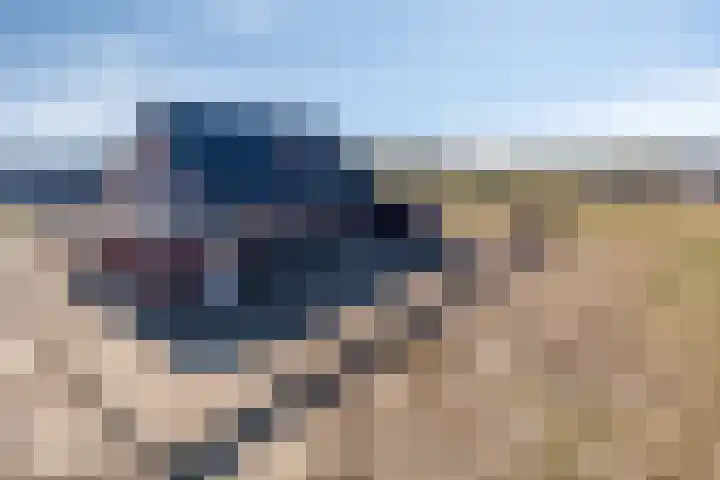 Ines Pultrumstrjitte 1 Houtigehage thumbnail 31