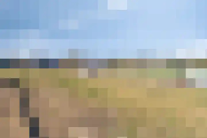 Ines Pultrumstrjitte 1 Houtigehage thumbnail 37
