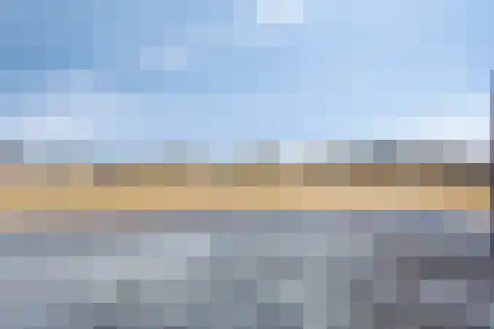 Ines Pultrumstrjitte 1 Houtigehage thumbnail 38