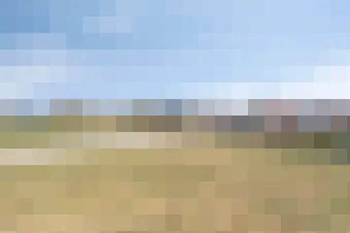 Ines Pultrumstrjitte 1 Houtigehage thumbnail 39