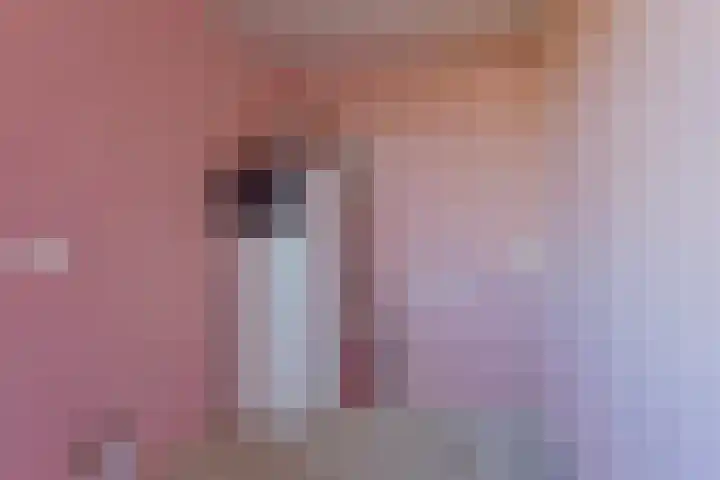 Ines Pultrumstrjitte 3 Houtigehage thumbnail 15