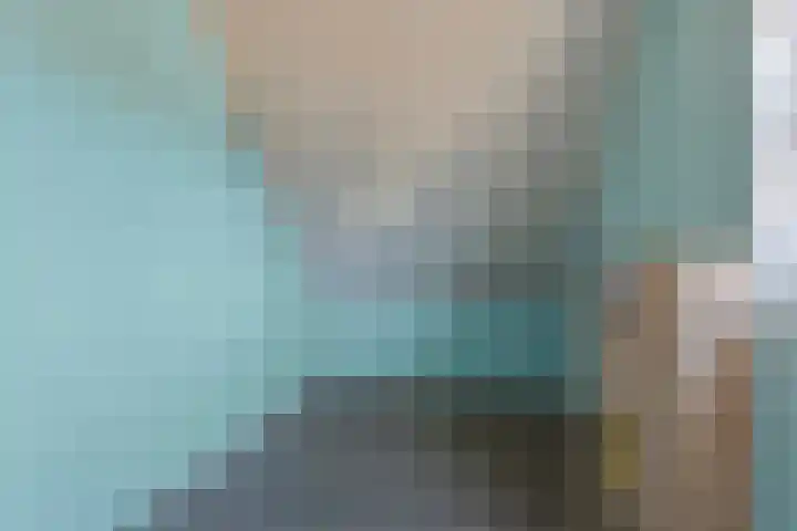 Ines Pultrumstrjitte 3 Houtigehage thumbnail 19