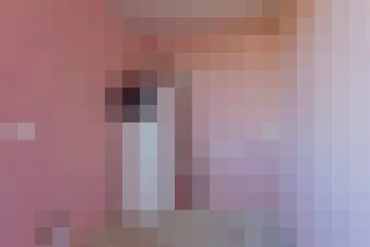 Ines Pultrumstrjitte 5 Houtigehage thumbnail 15