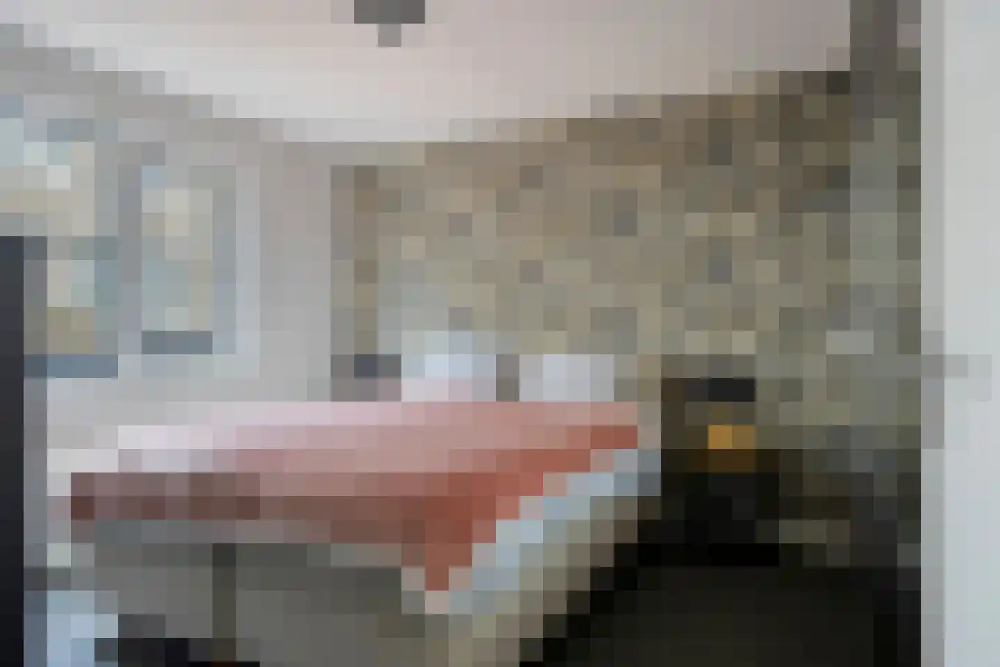 Infirmerie 15 Grave thumbnail 16