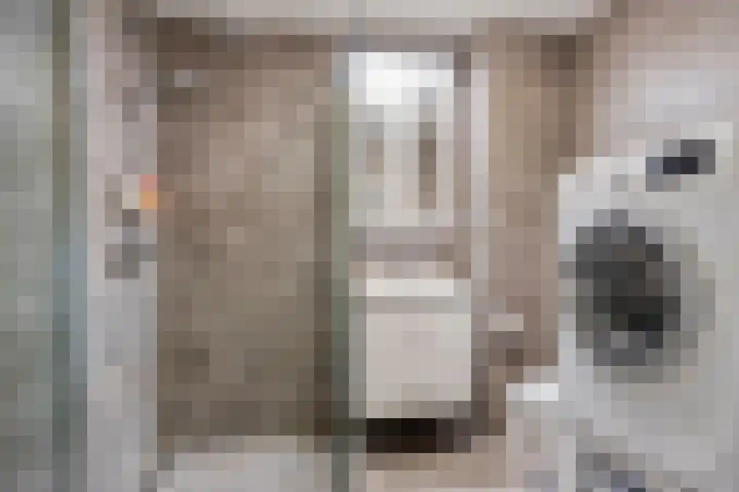 Infirmerie 15 Grave thumbnail 18
