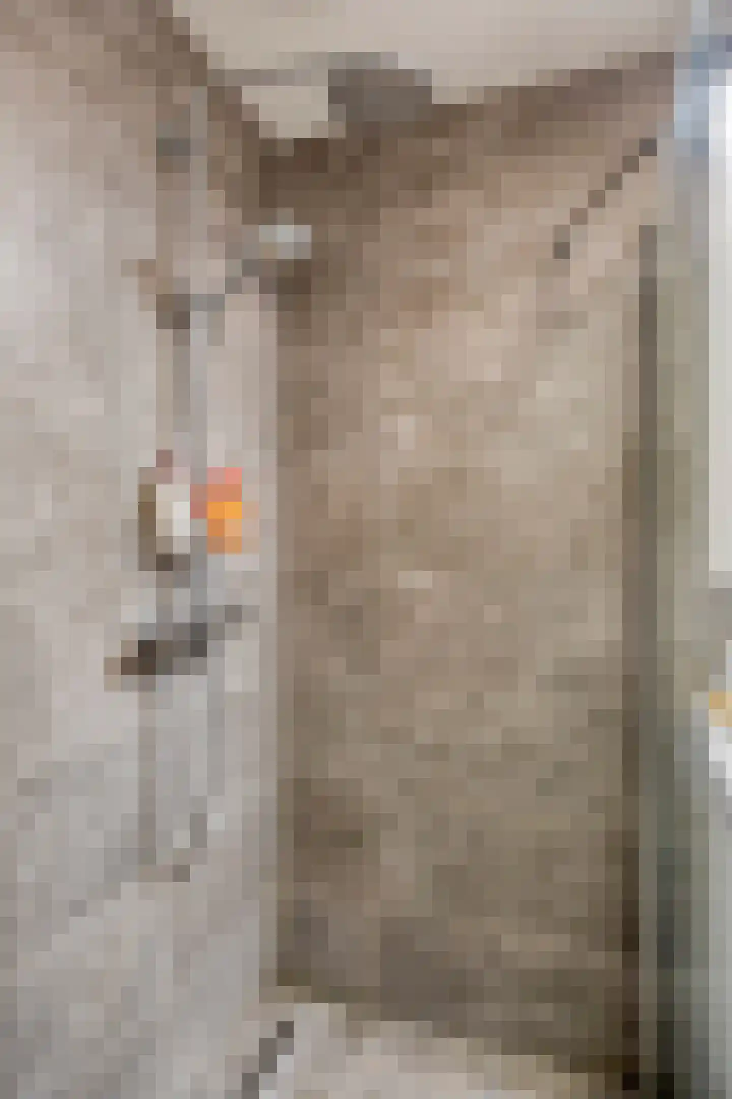 Infirmerie 15 Grave thumbnail 20
