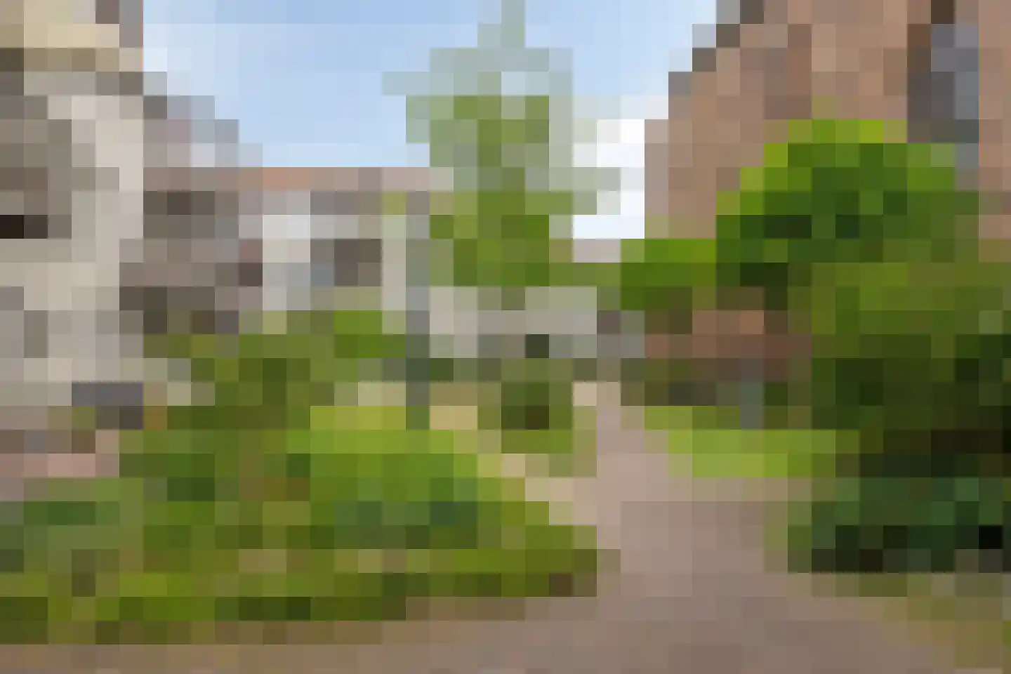 Infirmerie 15 Grave thumbnail 25