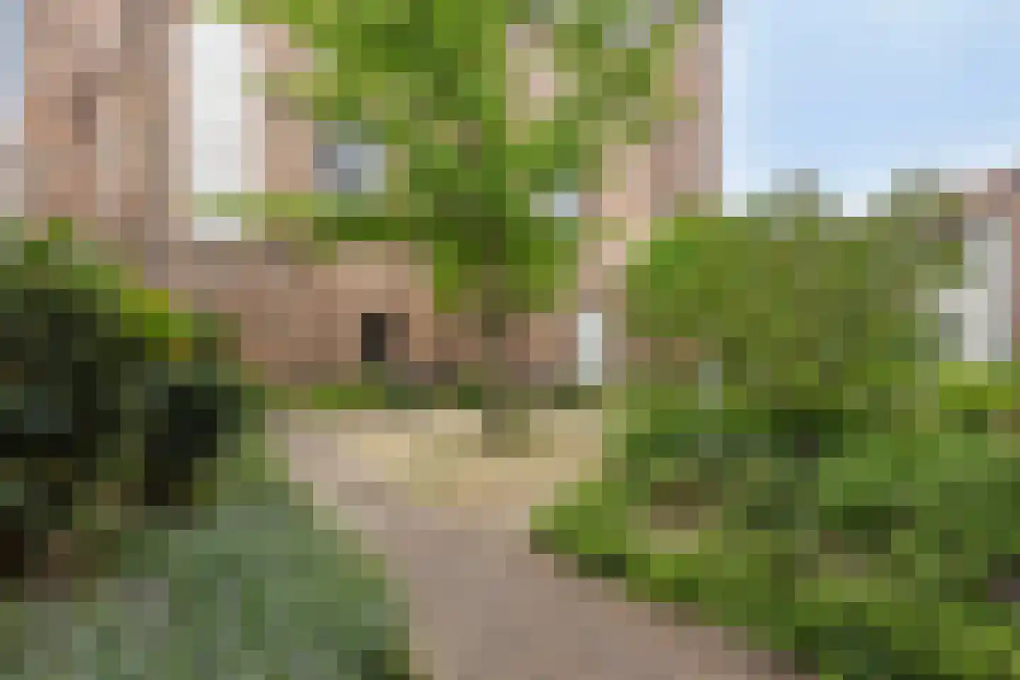 Infirmerie 15 Grave thumbnail 26