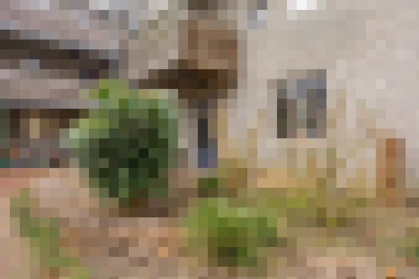 Infirmerie 15 Grave thumbnail 26
