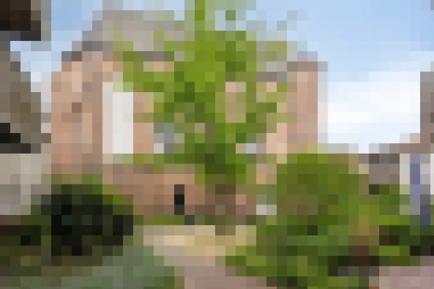 Infirmerie 15 Grave thumbnail 27