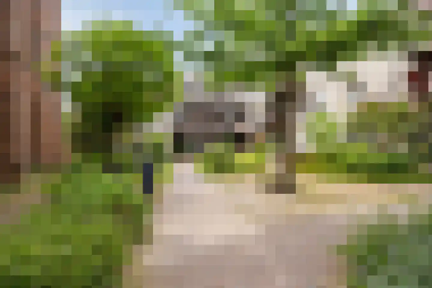 Infirmerie 15 Grave thumbnail 28