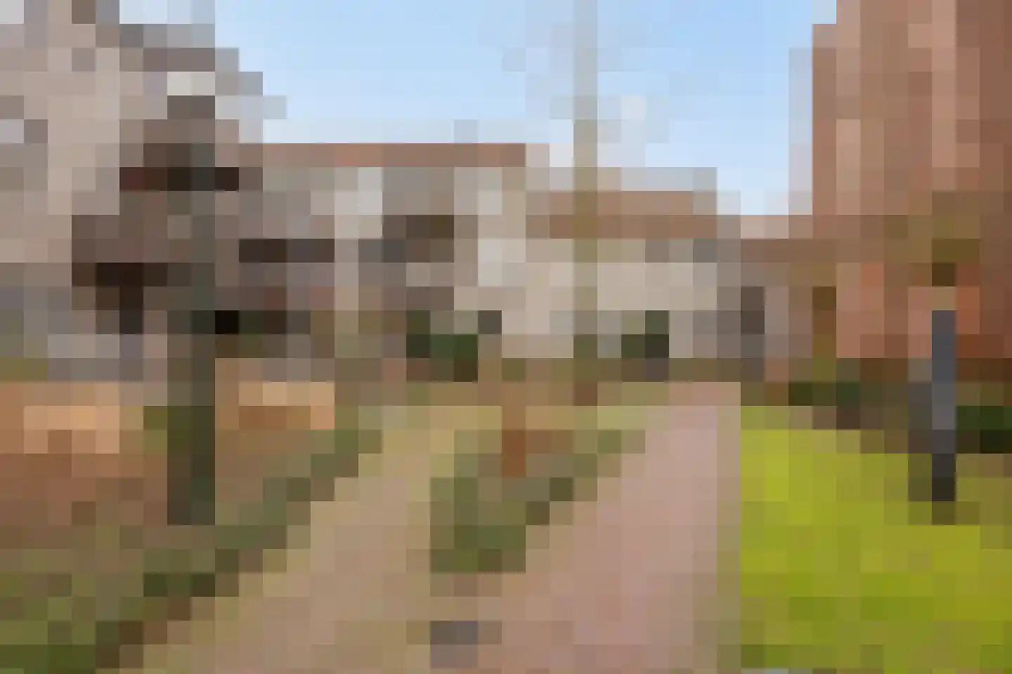Infirmerie 15 Grave thumbnail 28
